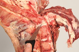 Sirloin and whole Fillet (bone-in) Meat Cut Spec Step 10